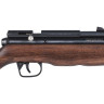 Пневматическая винтовка CROSMAN Benjamin Discovery BP9M22GSL