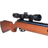 Пневматическая винтовка CROSMAN Vantage 8-30021